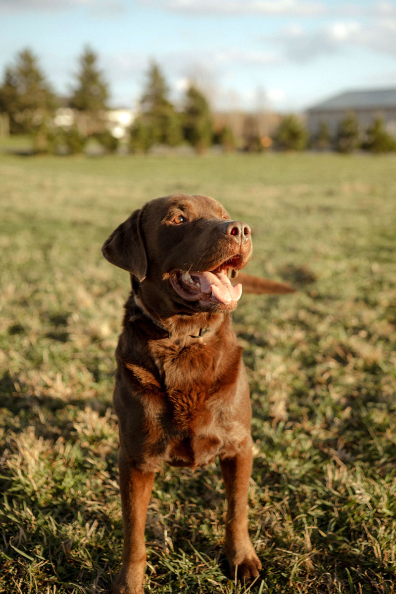 Copper